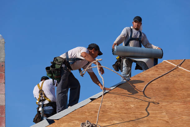 Best Roof Repair Services  in Park Forest, IL