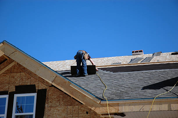 Best Storm Damage Roof Repair  in Park Forest, IL