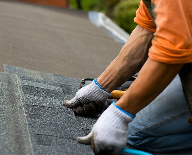 Best Residential Roofing Contractor  in Park Forest, IL
