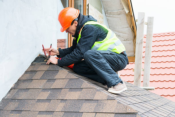 Best Shingle Roofing Installation  in Park Forest, IL